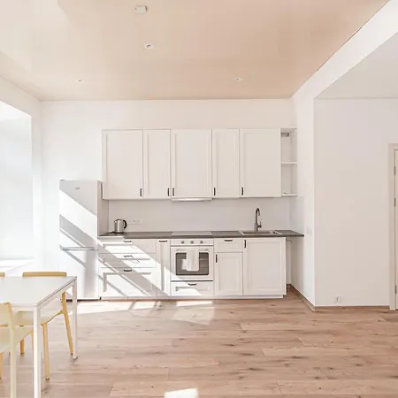 Sunny&spacious Near The Station Apartment Vilnius